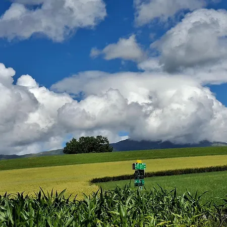 Grohs * Neumarkt in Steiermark