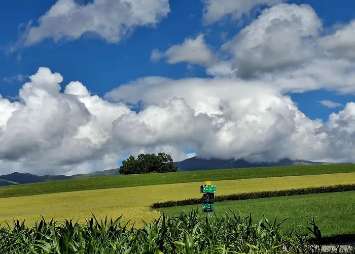 Grohs * Neumarkt in Steiermark